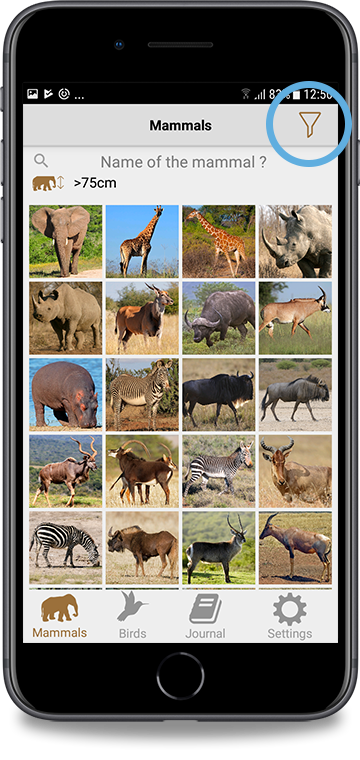 Overview mammals